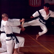 Jiu Jitsu vs Karate